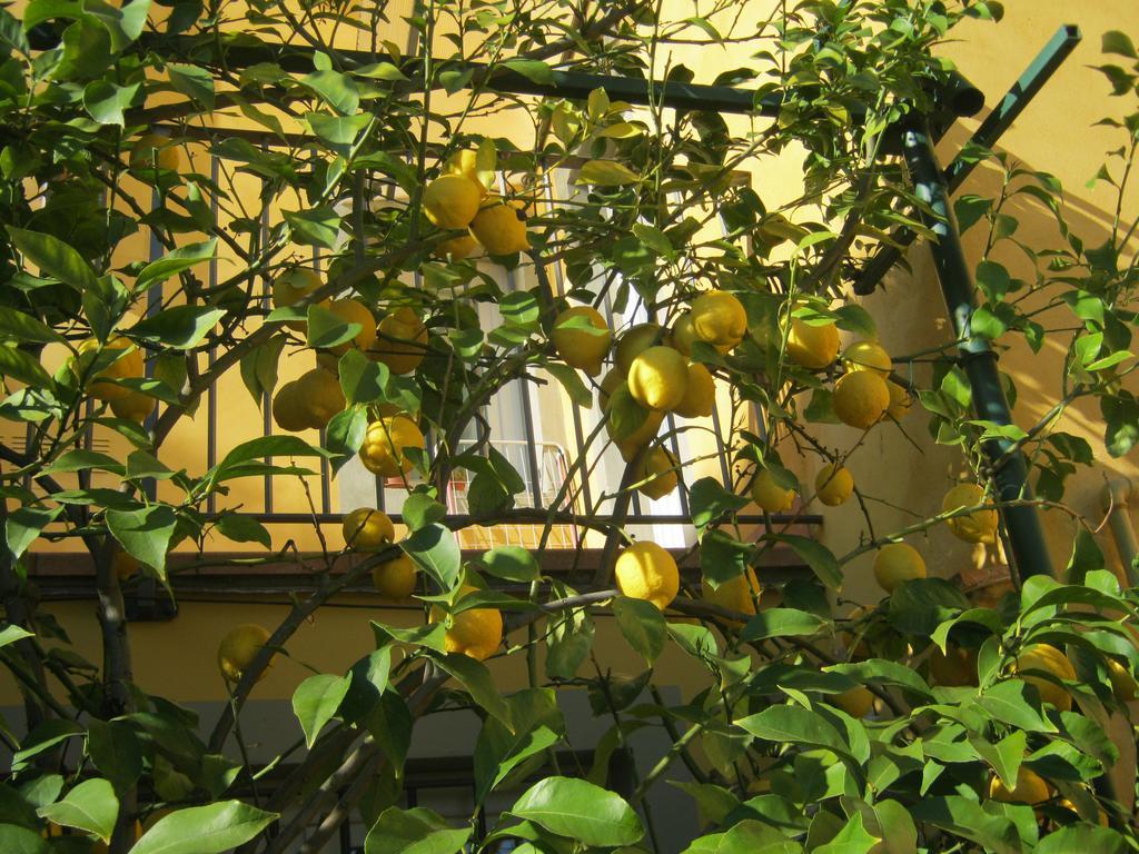 Holiday Home Il Borgo Degli Agrumi Uzzano Экстерьер фото