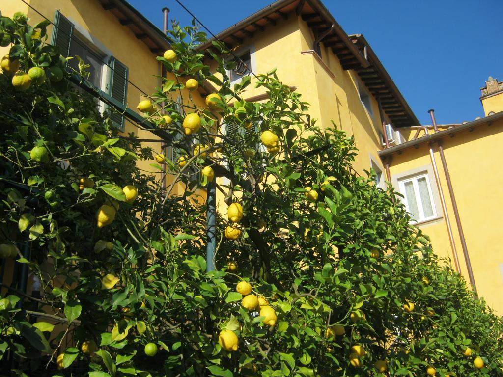 Holiday Home Il Borgo Degli Agrumi Uzzano Экстерьер фото